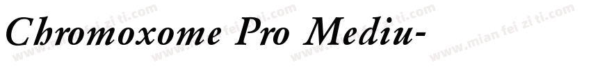Chromoxome Pro Mediu字体转换